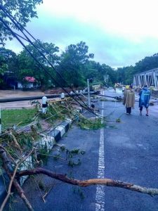 Ranting pohon di Jalur wonosari-jogja masih berserakan