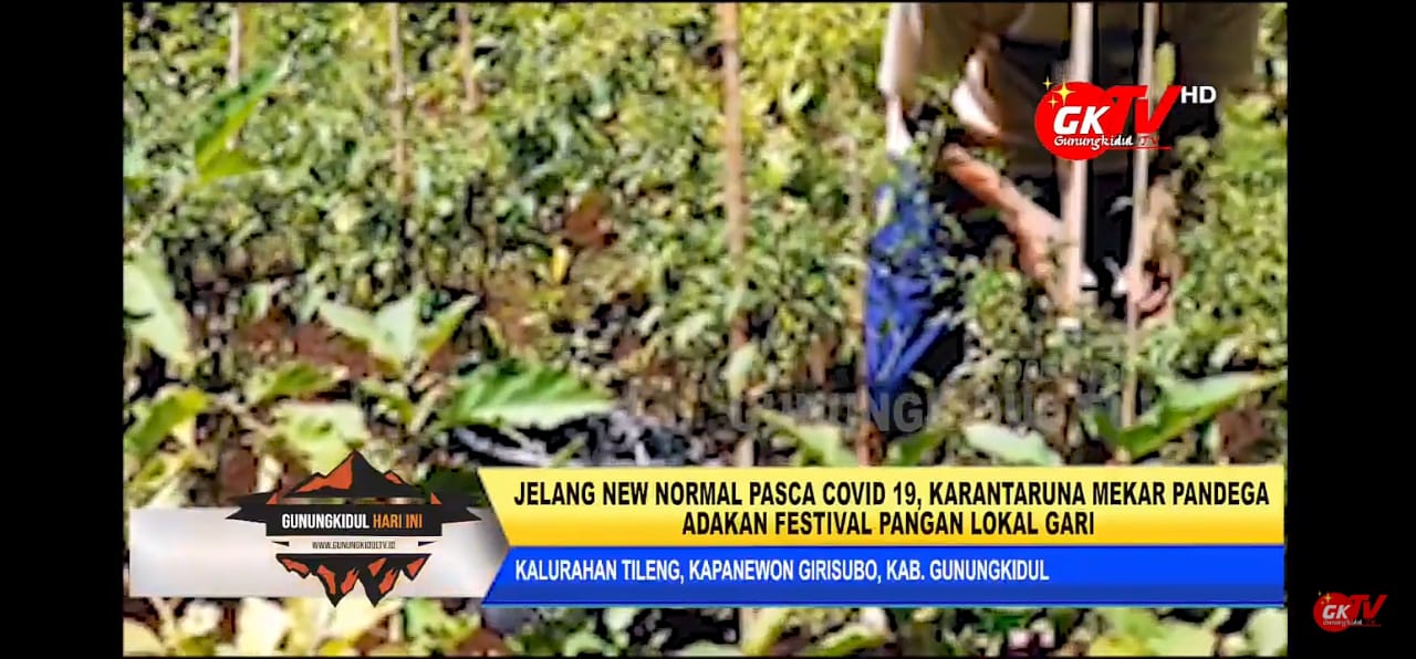 JELANG NEW NORMAL, KARANGTARUNA MEKAR PANDEGA ADAKAN FESTIVAL PANGAN LOKAL DESA GARI